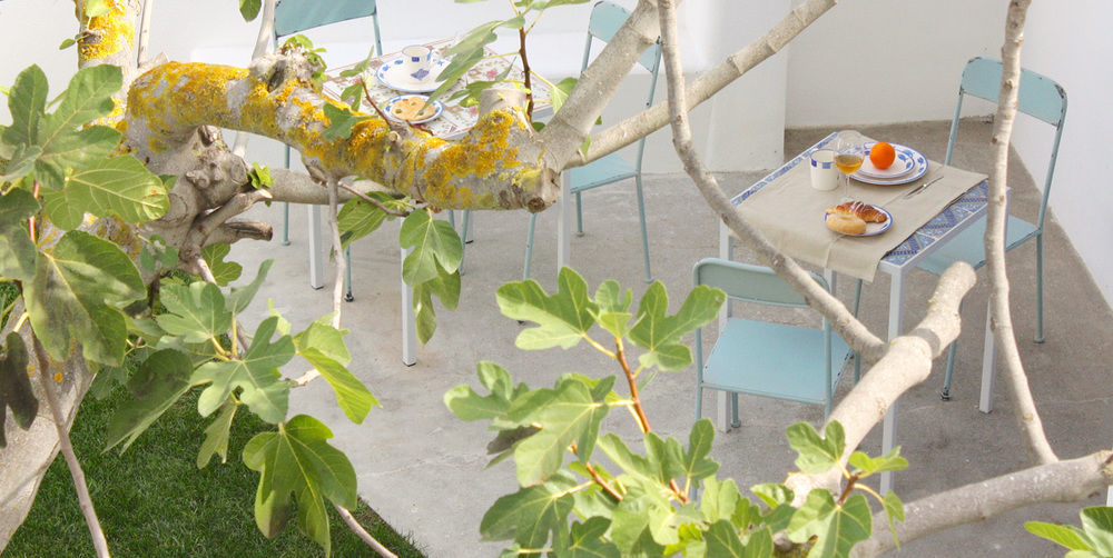 Hotel Intorno Al Fico